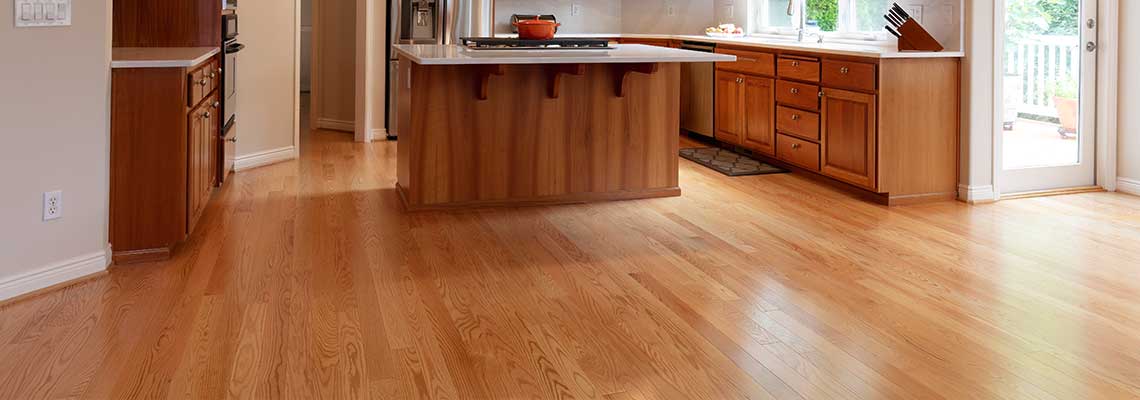 Floor Polishing